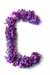 Lilac alphabet