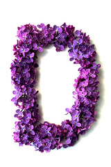 Lilac alphabet