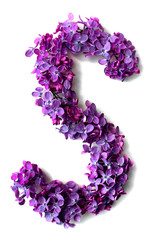 Lilac alphabet