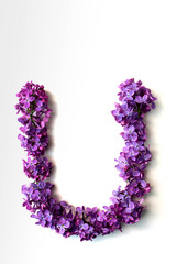 Lilac alphabet