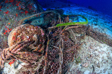 Abandoned fishing equipment polluting a tropical coral reef