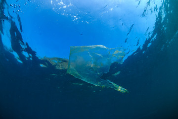 Fototapeta premium Plastic Pollution - a plastic bag floats in the ocean above a tropical coral reef