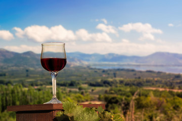  glass of red wine in a vineyard on the Kastoria town background. Greece