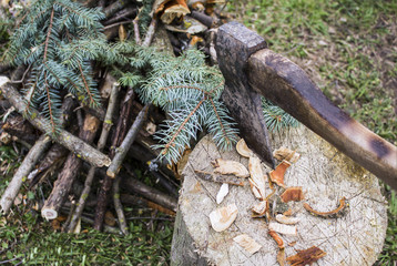 after chopping wood the ax was stuck in a tree stump on which lay pieces of the wood