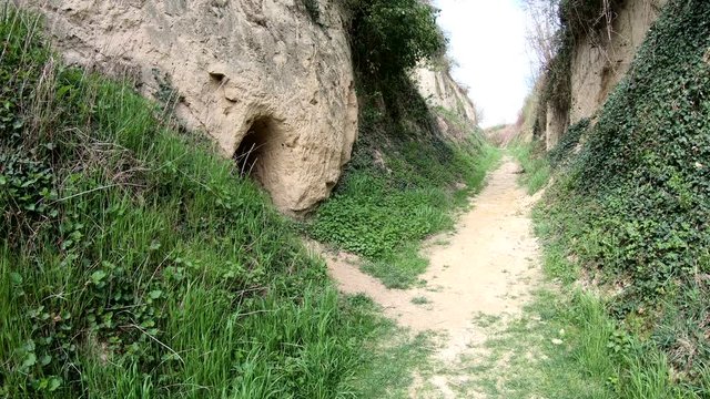 L&ouml;sshohlweg Eichgasse bei Bickensohl, Kaiserstuhl, Hohlweg, Strasse, Weinbau, Geologie, 4K