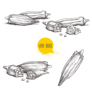 Hand drawn sketch style exotic vegetables okra set. Vector illustrations collection of eco healthy food. Whole and cut composition isolated on white background.
