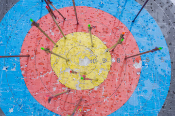 Archery target with arrows on it. Success concept