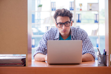 Student studying at home preparing for exam