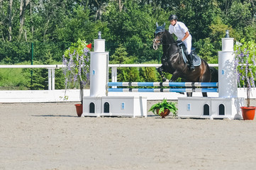 Showjumping competition, bay horse and rider in white uniform performing jump over the bridle....