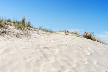 Fototapeta na wymiar Grassy sand dunes on the Baltic Sea