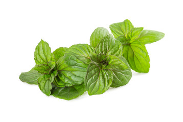 Fresh peppermint leaves isolated on white