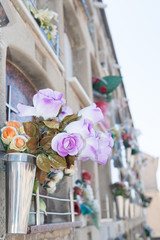 Flowers in a cemetery
