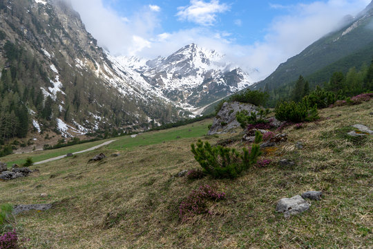 Muttekopf
