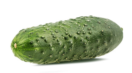 Fresh cucumber isolated on white background with clipping path