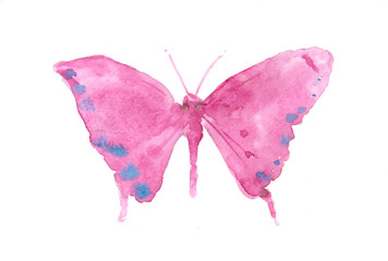 Pink butterfly on white background, watercolor illustrator, hand painted