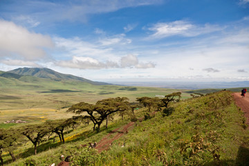 View from Ngorongoro road to the Serengeti - Tanzania - obrazy, fototapety, plakaty