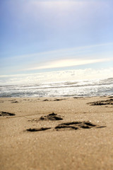 Beautiful sand beach with ocean waves