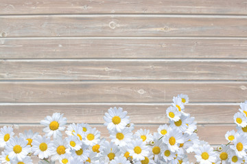 Obraz premium Scratched wood plank background texture