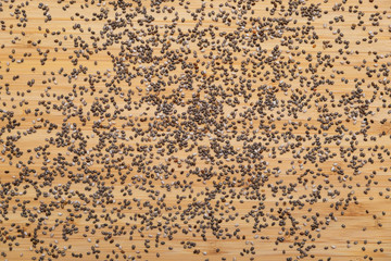 Chia seeds in a wooden spoon on the table