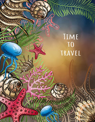 Composition of seashells, starfish, jellyfish. Underwater world. Sea background. Vector illustration.