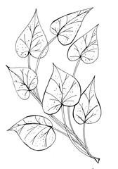 Decorative openwork branch with leaves in graphic style