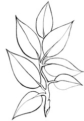 Decorative openwork branch with leaves in graphic style