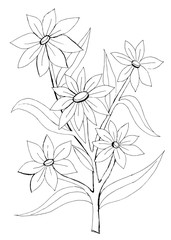 Outline drawing of a decorative flower for coloring