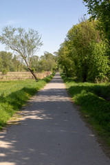 Fototapeta na wymiar Gerader asphaltierter Wanderweg in einer grünen Landschaft im Frühling