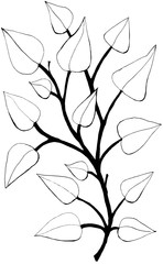 Contour drawing of a branch with leaves