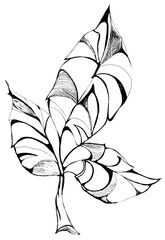 Decorative  openwork leaf in a graphic style