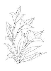 Outline drawing of a flower for coloring
