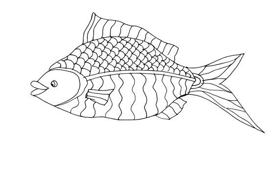 Outline drowing decorative fish for coloring