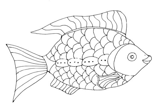Outline drowing decorative fish