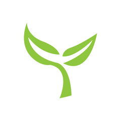 Isolated leaves icon