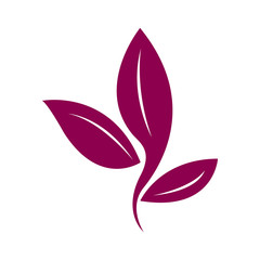 Obraz premium Isolated leaves icon