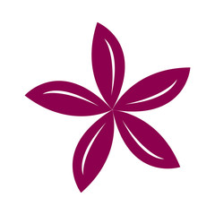 Isolated flower icon