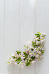 Spring background with apple blossom on white wooden desk. top view