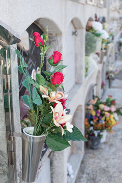 Flowers in a cemetery