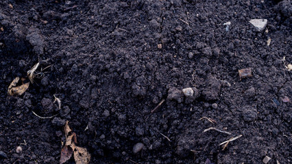 Black land with garbage and stones for sowing