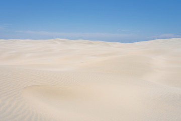 Farewell Spit, Golden Bay, New Zealand: Impressive sand dune landscape at the north west cape of south island with white sandy beaches and green grass and blue ocean sea near Abel Tasman National Park