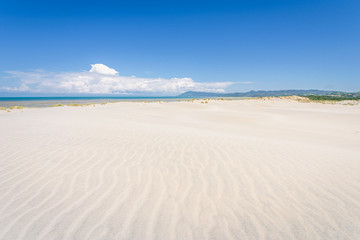 Farewell Spit, Golden Bay, New Zealand: Impressive sand dune landscape at the north west cape of south island with white sandy beaches and green grass and blue ocean sea near Abel Tasman National Park