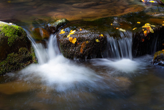 water cascade among the rocks. beautiful nature background with yellow leaves on wet stones