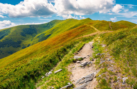 path to the top of the mountain. beautiful summer landscape. great destination to travel. location Velykyi Verkh peak of Borzhava ridge in Carpathian mountains, Ukraine