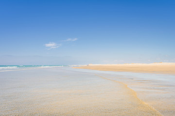 Farewell Spit, Golden Bay, New Zealand: Impressive sand dune landscape at the north west cape of...