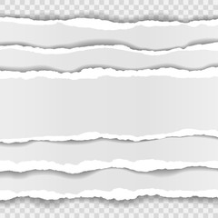 torn paper edges, seamless horizontally texture, vector isolated in space for advertising, banner of web page, border and header, print concept of illustration
