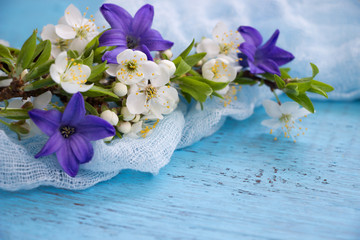 Obraz na płótnie Canvas Spring flowers greeting card.White cherry flowers and hyacinthus on blue background.