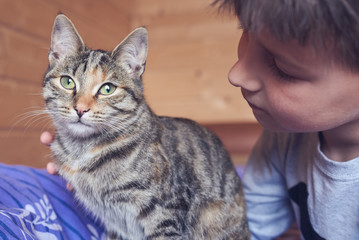 Boy holding and cuddling a cat. © Artem