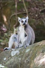 Bantu, Isalo, Madagascar, Sandstone, adventure, africa, african, agriculture, bara, canyon, discover, ethnic, gasy, gondwana, gorge, grassland, gun, hike, hiking, horizon, hut, ihorombe, ihosy, landma