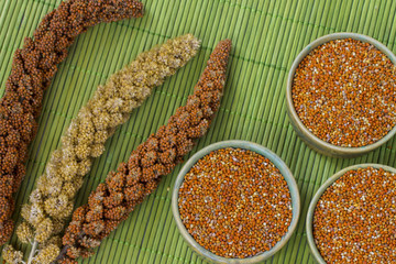 Sprigs of  millet on a green  background. Three  boxes with millet grains. Top view.
