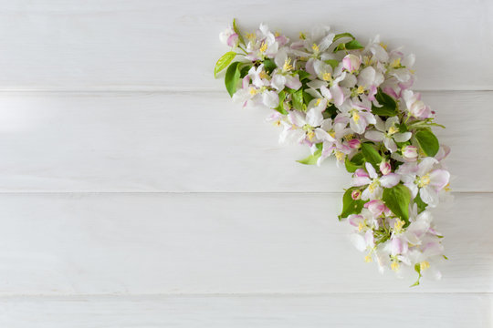 Spring background with apple blossom on white wooden desk. top view